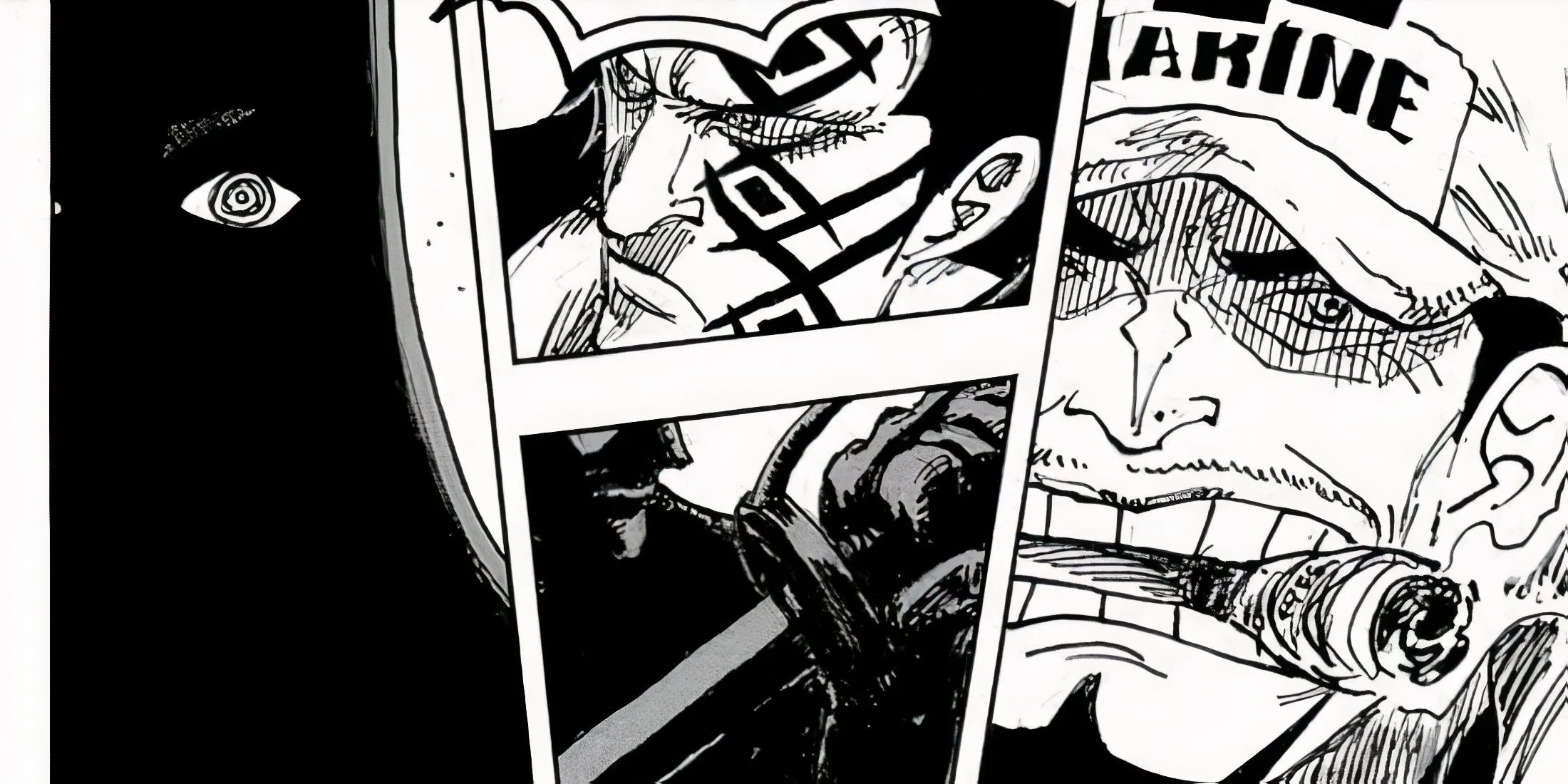 Imu vs Akainu
