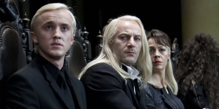 Harry Potter Star Discusses Their Villain Character: ‘Somebody Trying to Make Hogwarts Great Again’
