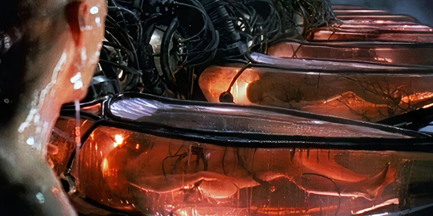 Human Battery Pods