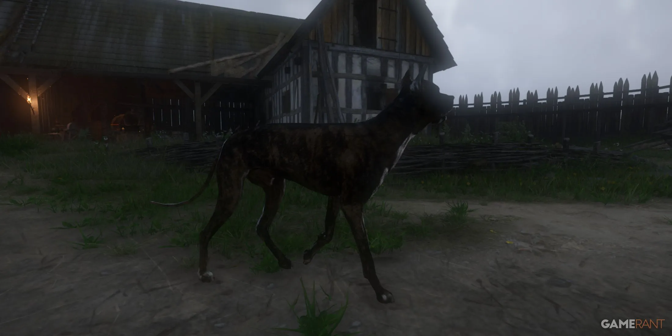 Kingdom Come Deliverance 2 - Hunger & Despair - Stray Dog Kingdom Come Deliverance 2 - Hunger & Despair - Stray Dog