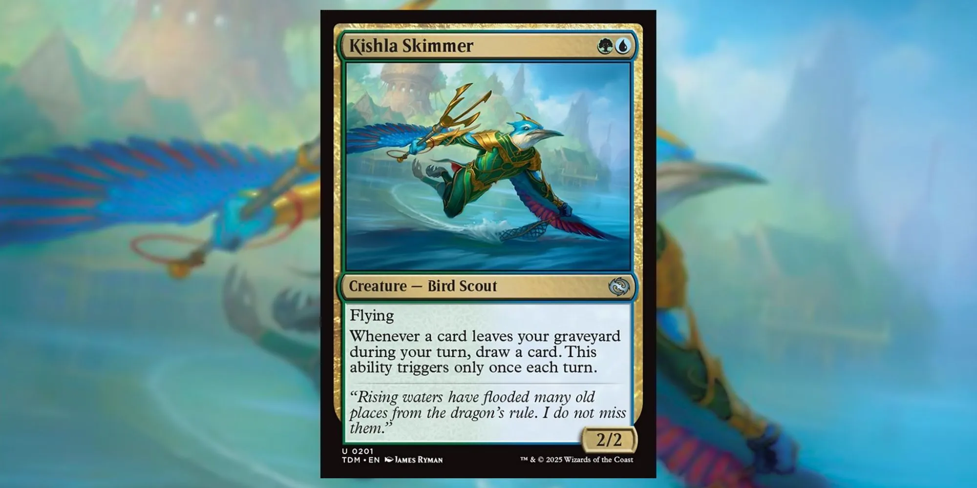 Kishla Skimmer