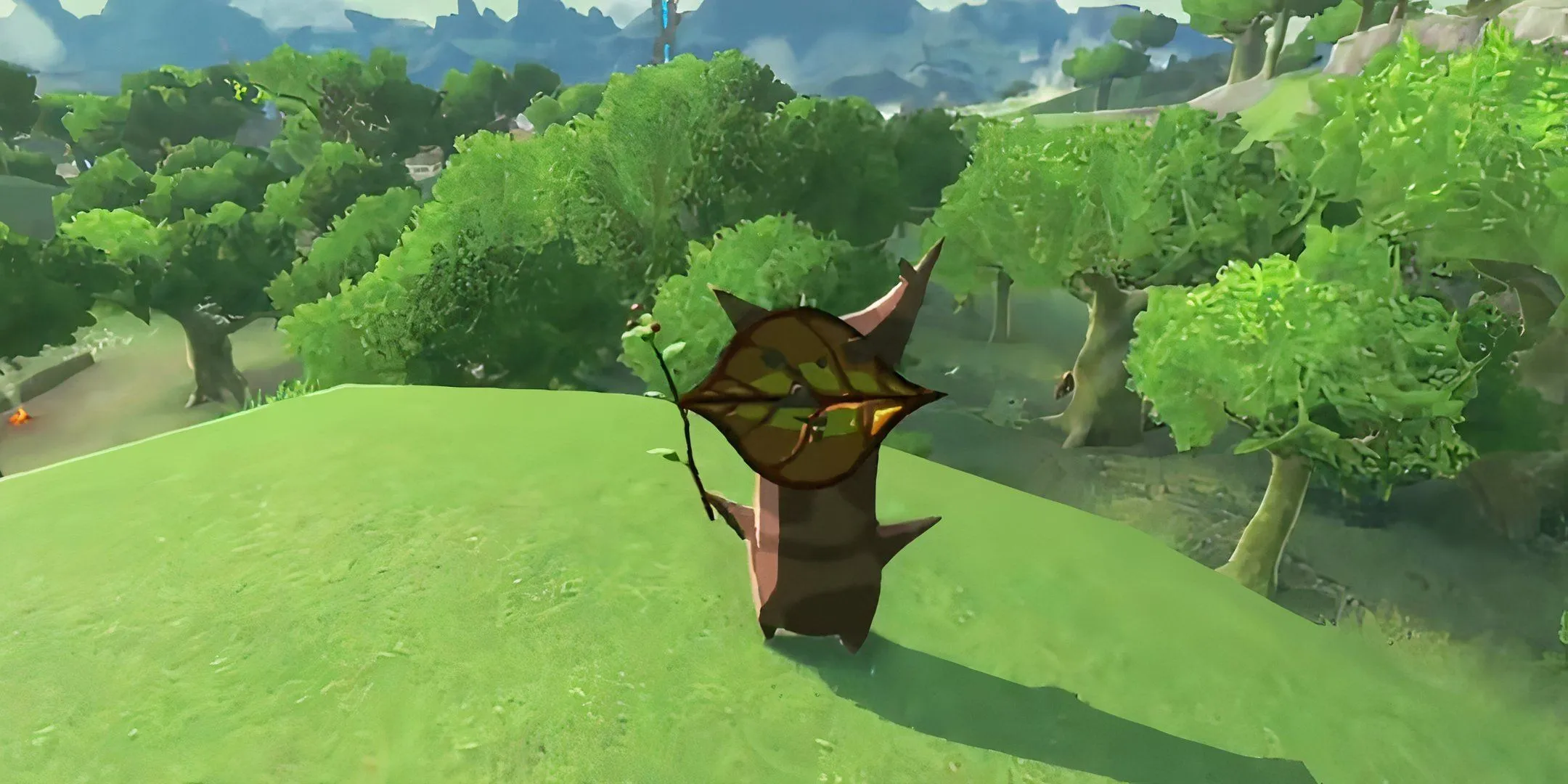 Korok on a Hill