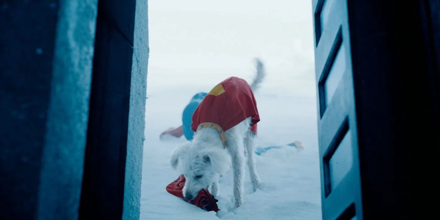 Krypto helps Superman