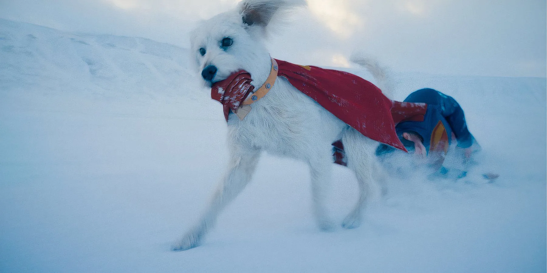 Superman and Krypto by James Gunn Superman and Krypto by James Gunn