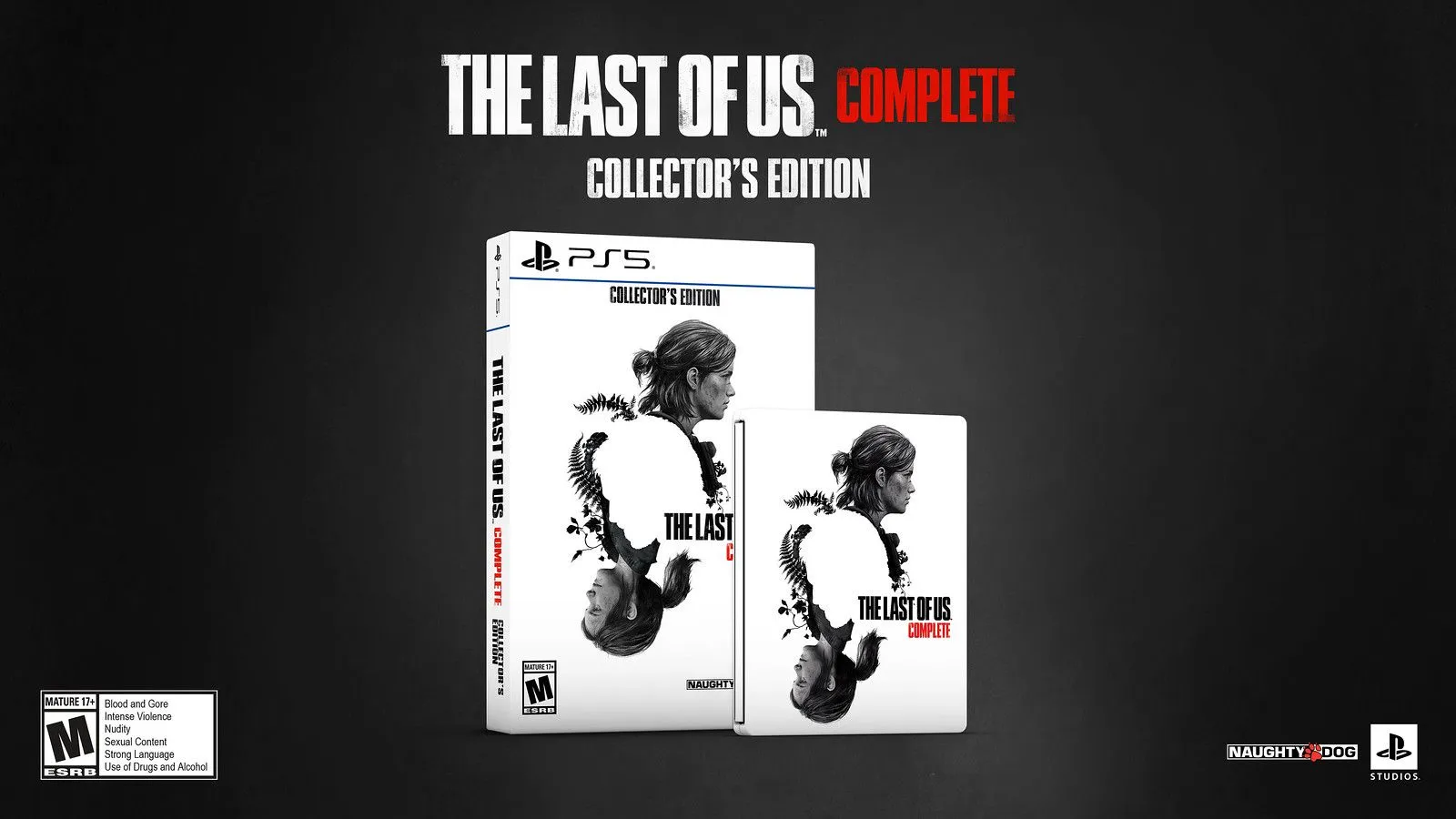 Steelbook Case Steelbook Case