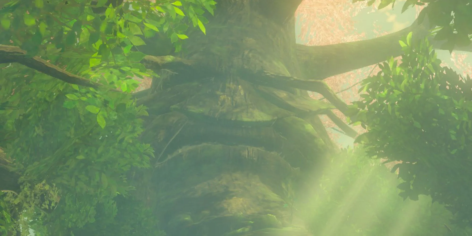 Link talking to the Great Deku Tree
