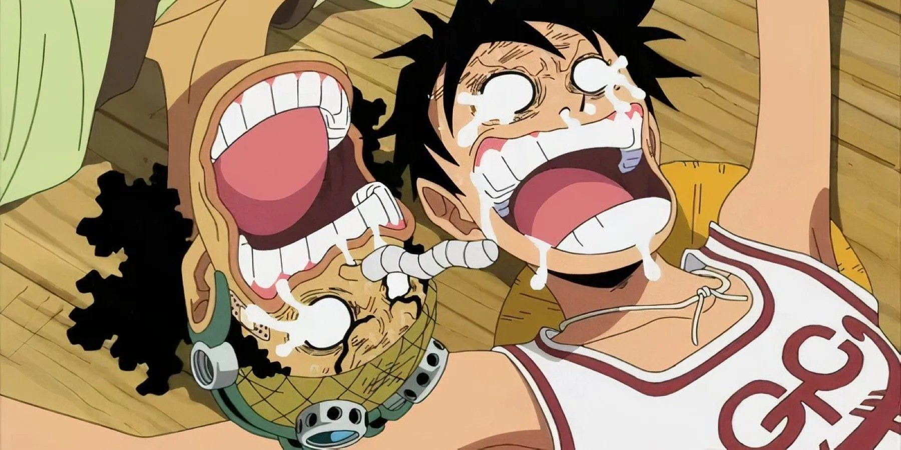 Luffy and Usopp Luffy and Usopp