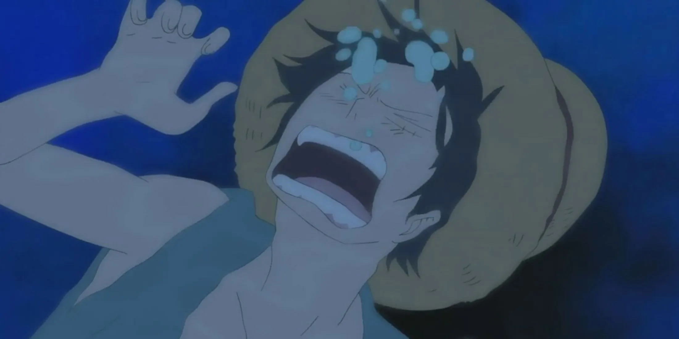 Luffy in Danger