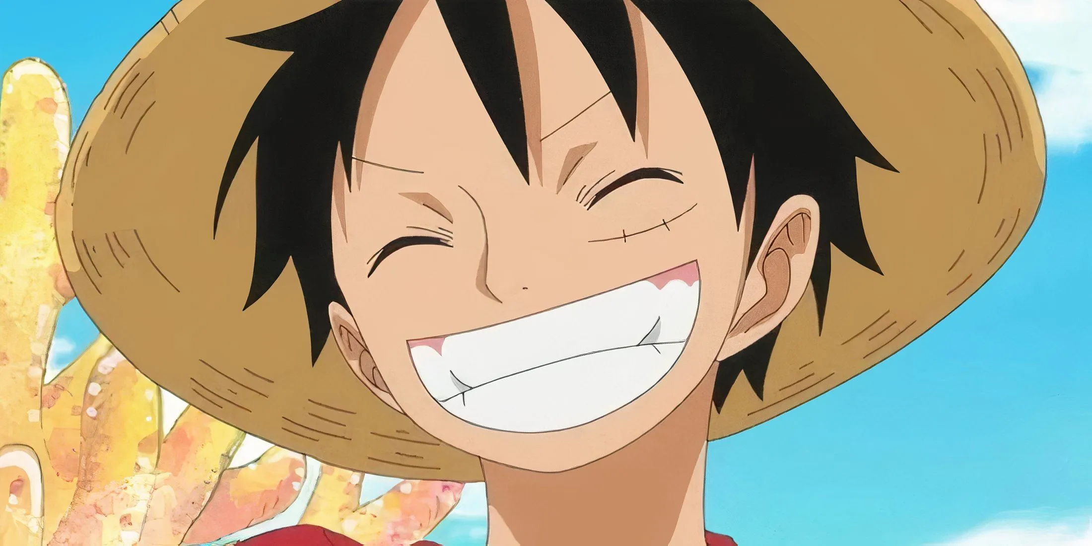 Luffy's Smile Luffy's Smile