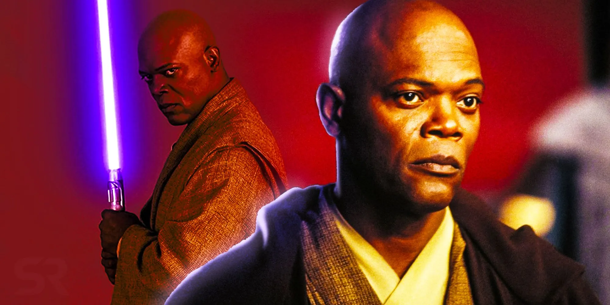 Mace Windu Dark Side Weakness