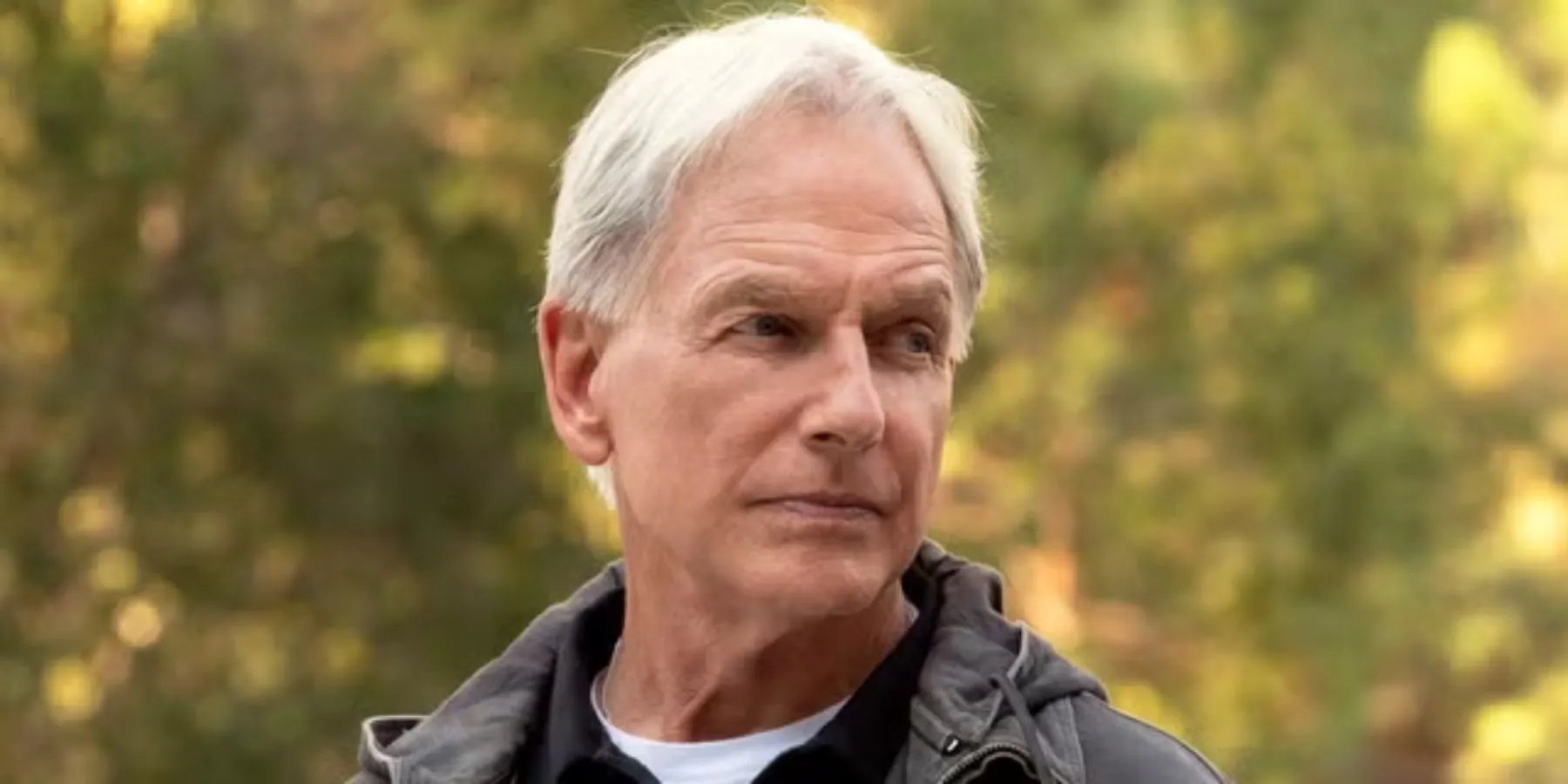 Leroy Gibbs (Mark Harmon) on NCIS Leroy Gibbs (Mark Harmon) on NCIS