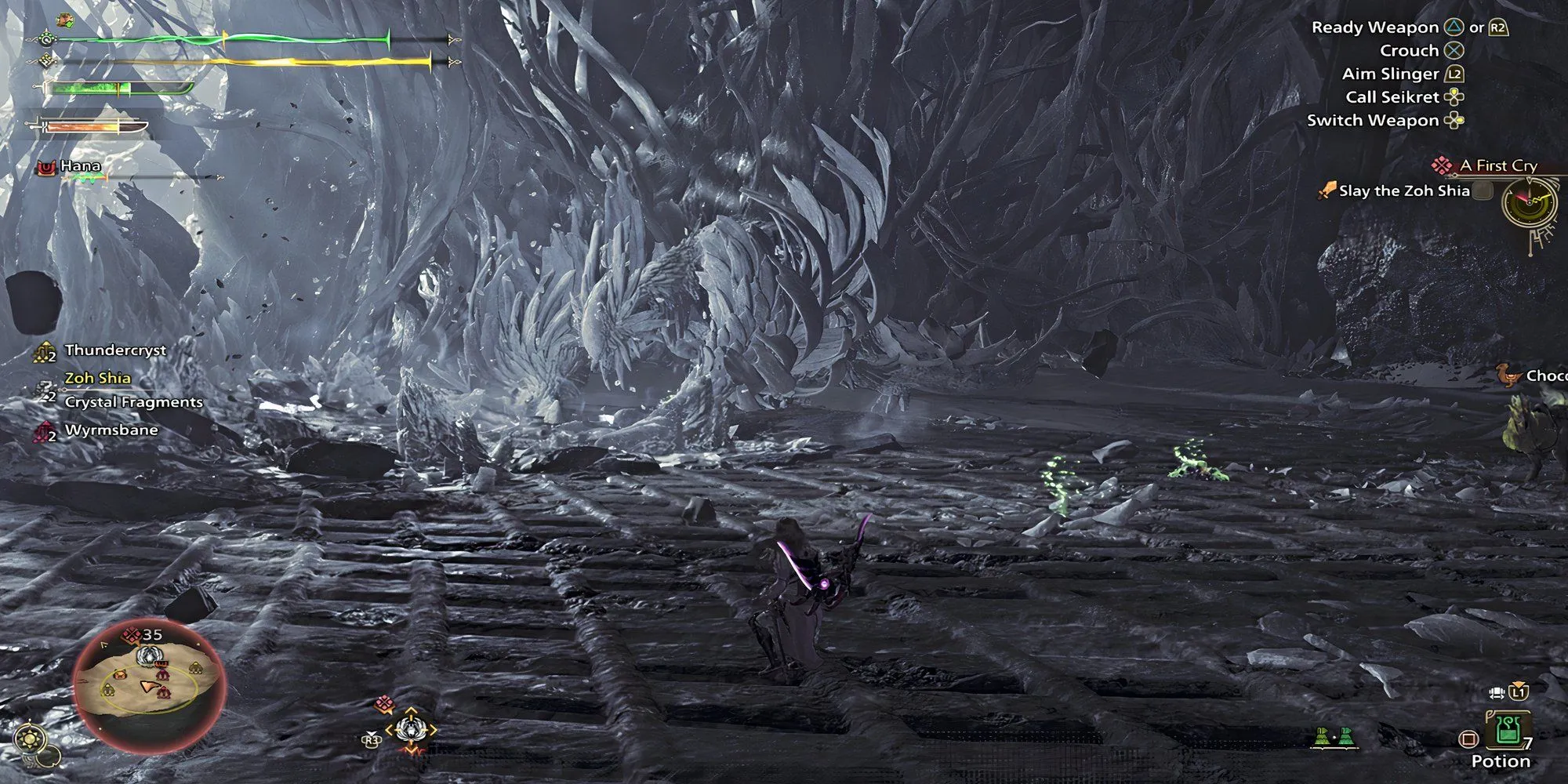 monster-hunter-wilds-zoh-shia-battle