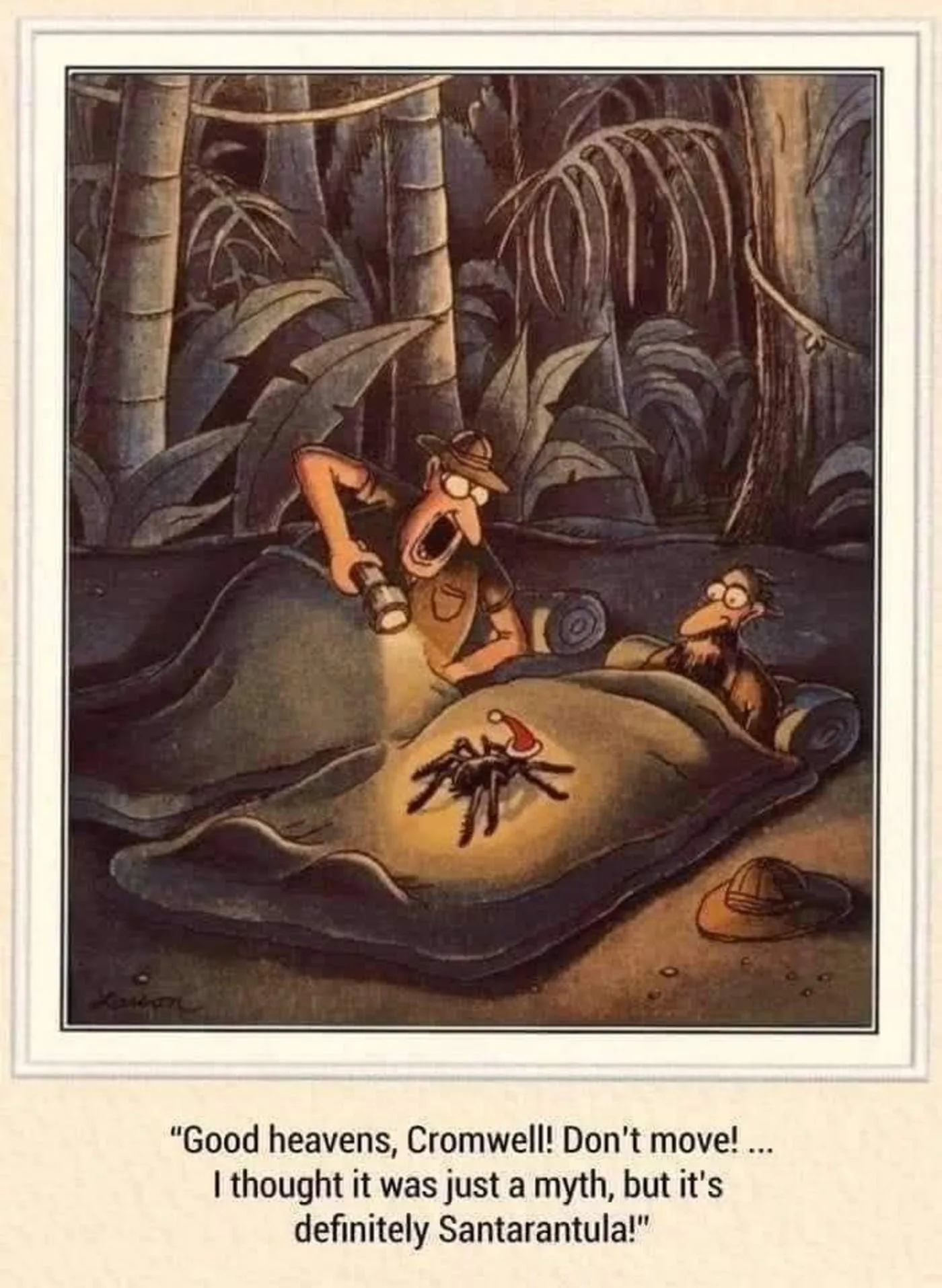 Far Side, a tarantula with a Santa hat on a man's sleeping bag in the jungle. Far Side, a tarantula with a Santa hat on a man's sleeping bag in the jungle.