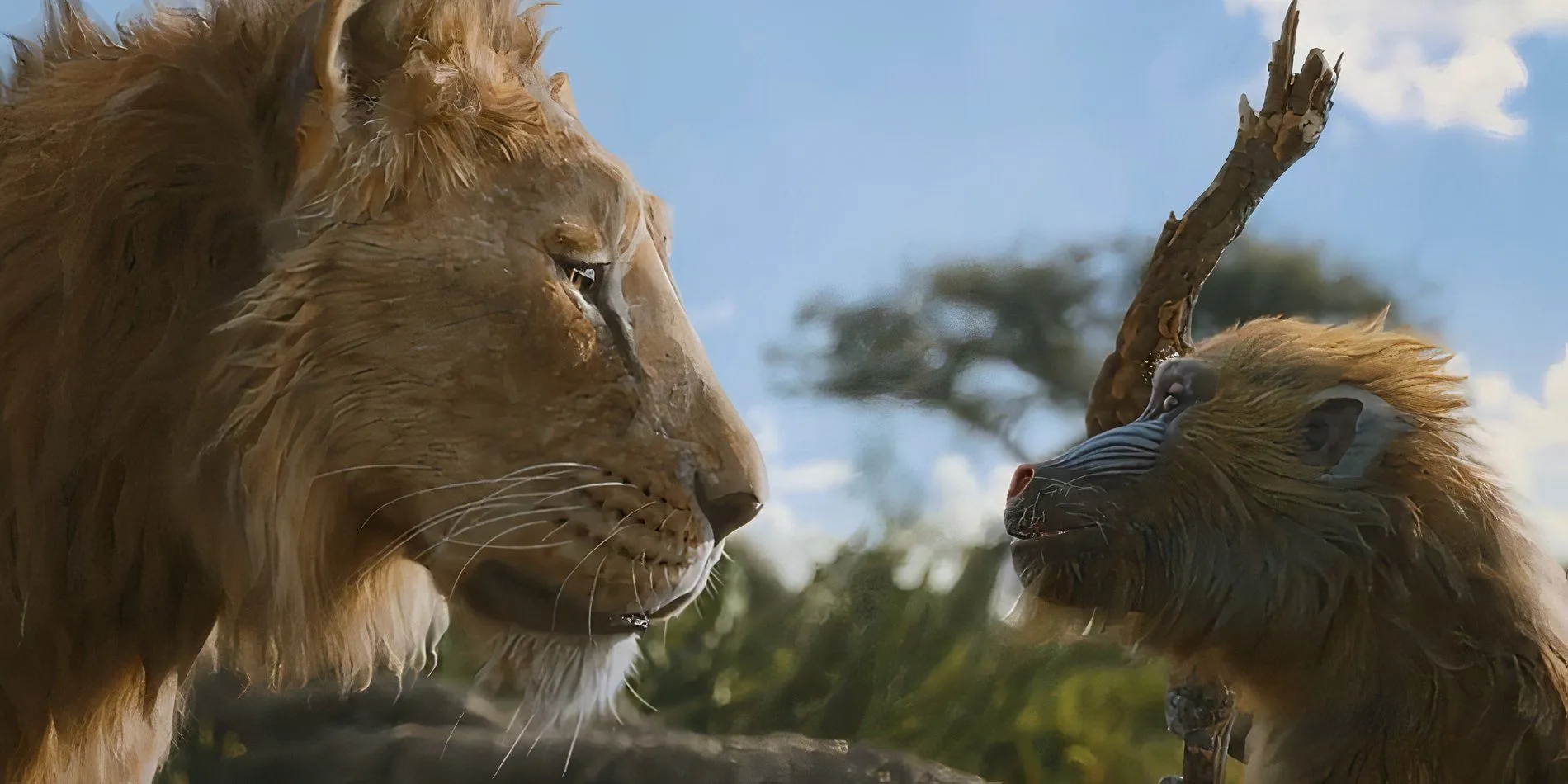 Mufasa and Rafiki from Mufasa: The Lion King