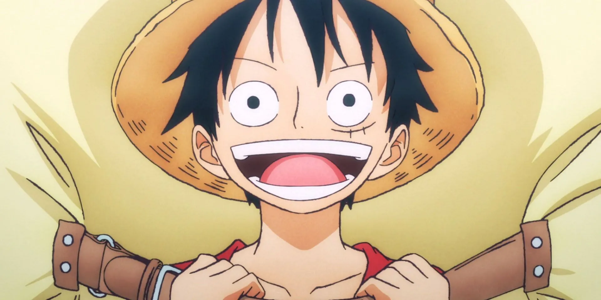 Luffy with Backpack