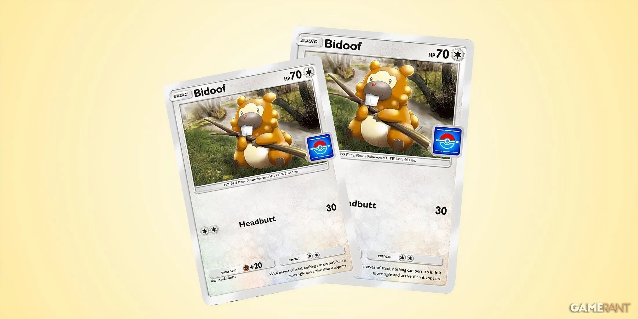 Bidoof Promo-A Card