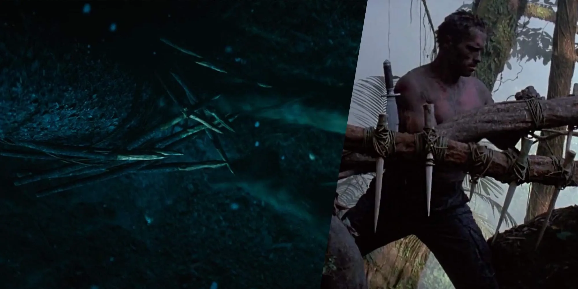predator prey booby traps predator prey booby traps