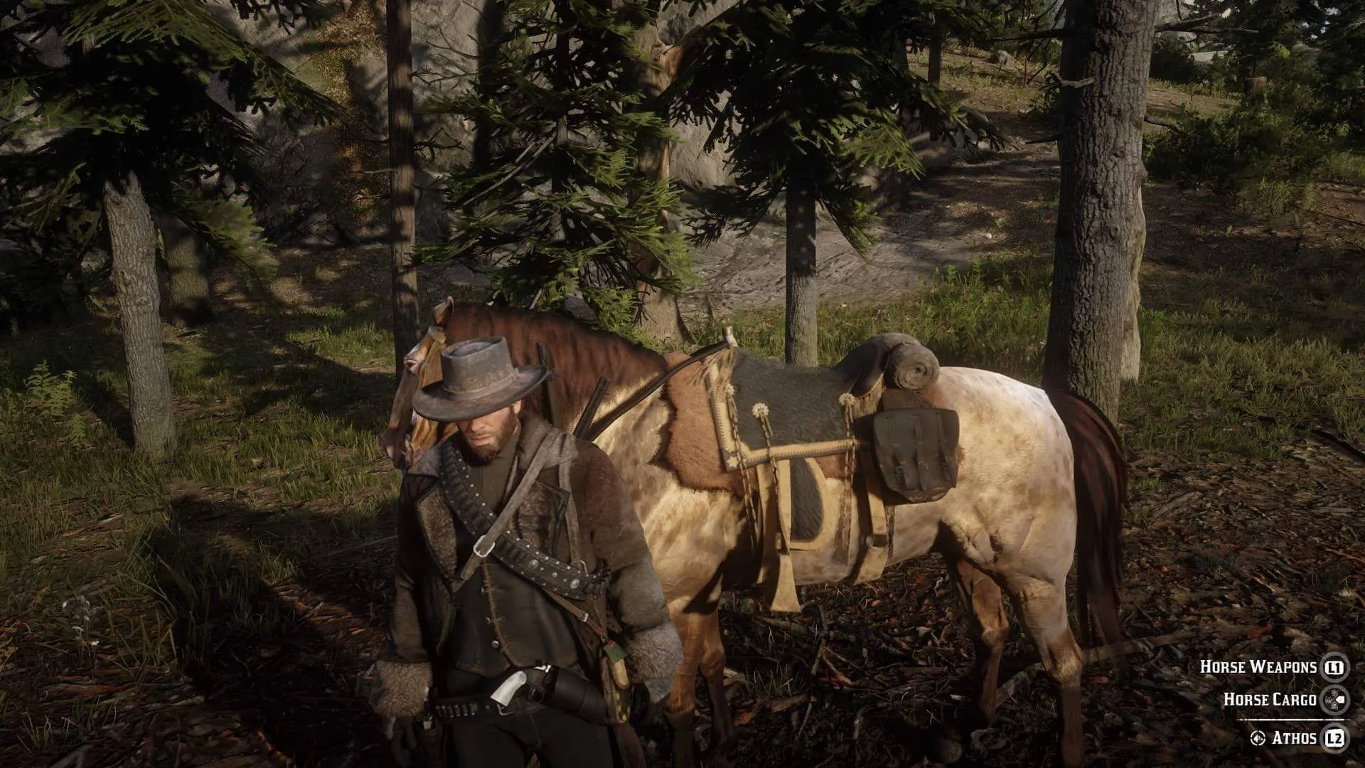 Reverend Swanson's journey