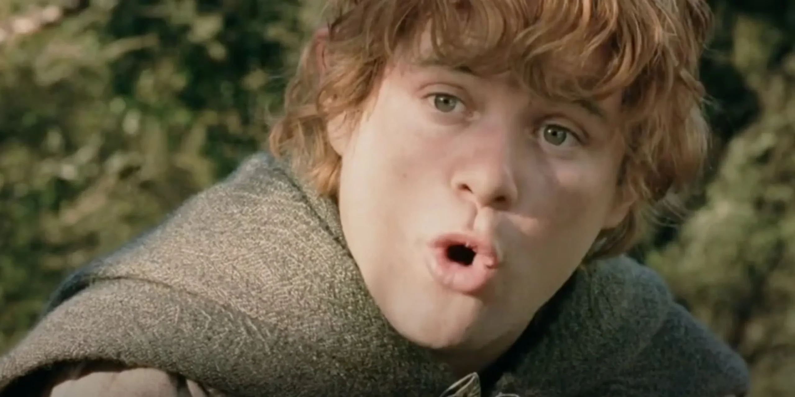 Sam in The Two Towers