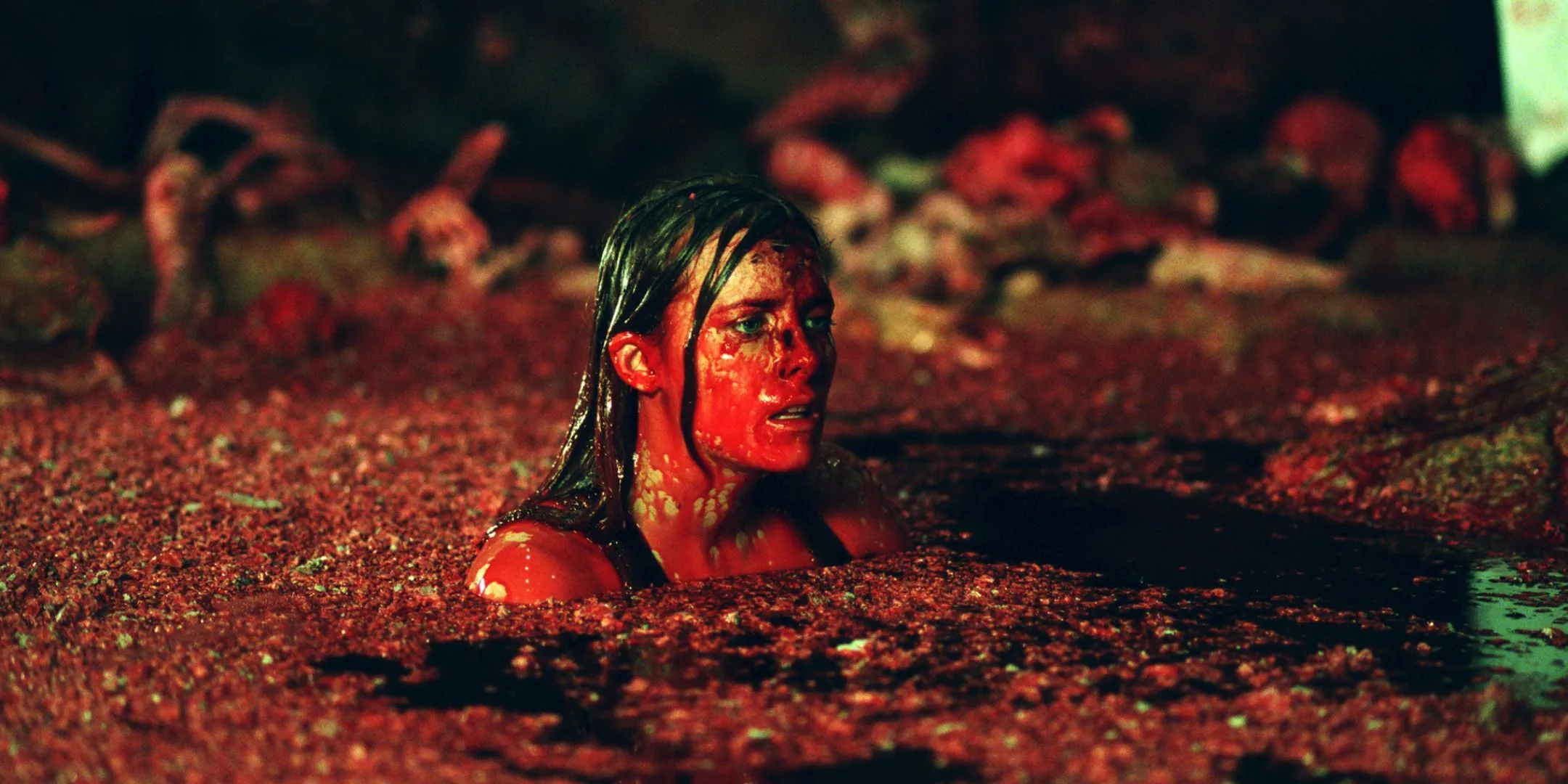 Shauna MacDonald as Sarah in The Descent