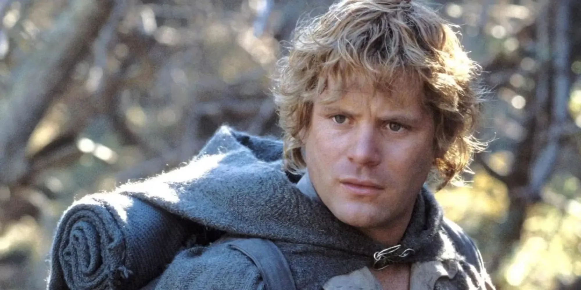 Sean Astin as Samwise Gamgee in The Lord of the Rings
