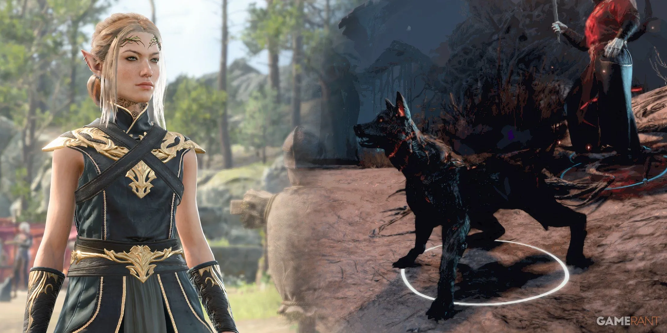 Shadow Magic Sorcerer interacting with a Hound Shadow Magic Sorcerer interacting with a Hound