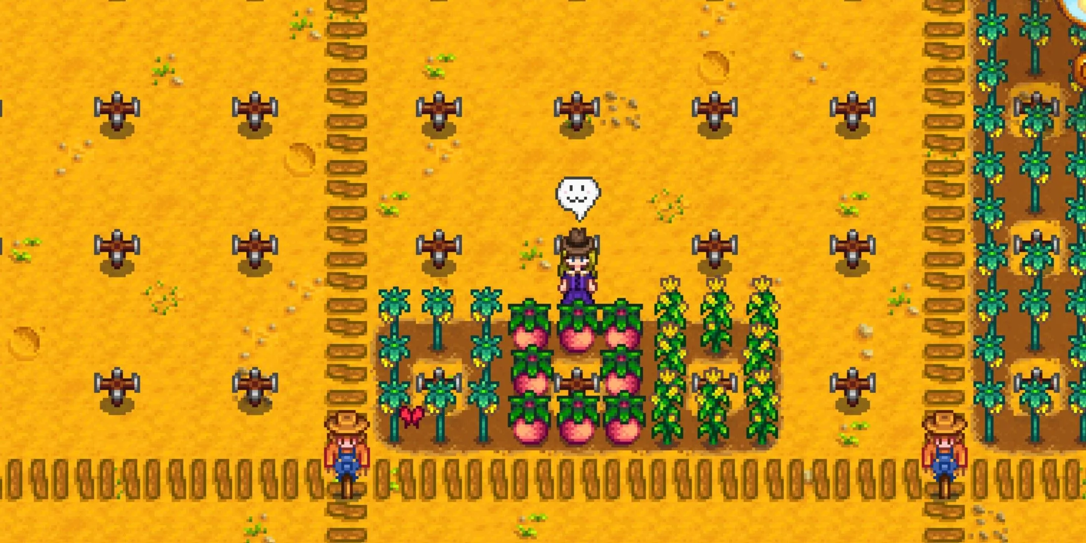 Stardew Valley Farm Crops Stardew Valley Farm Crops
