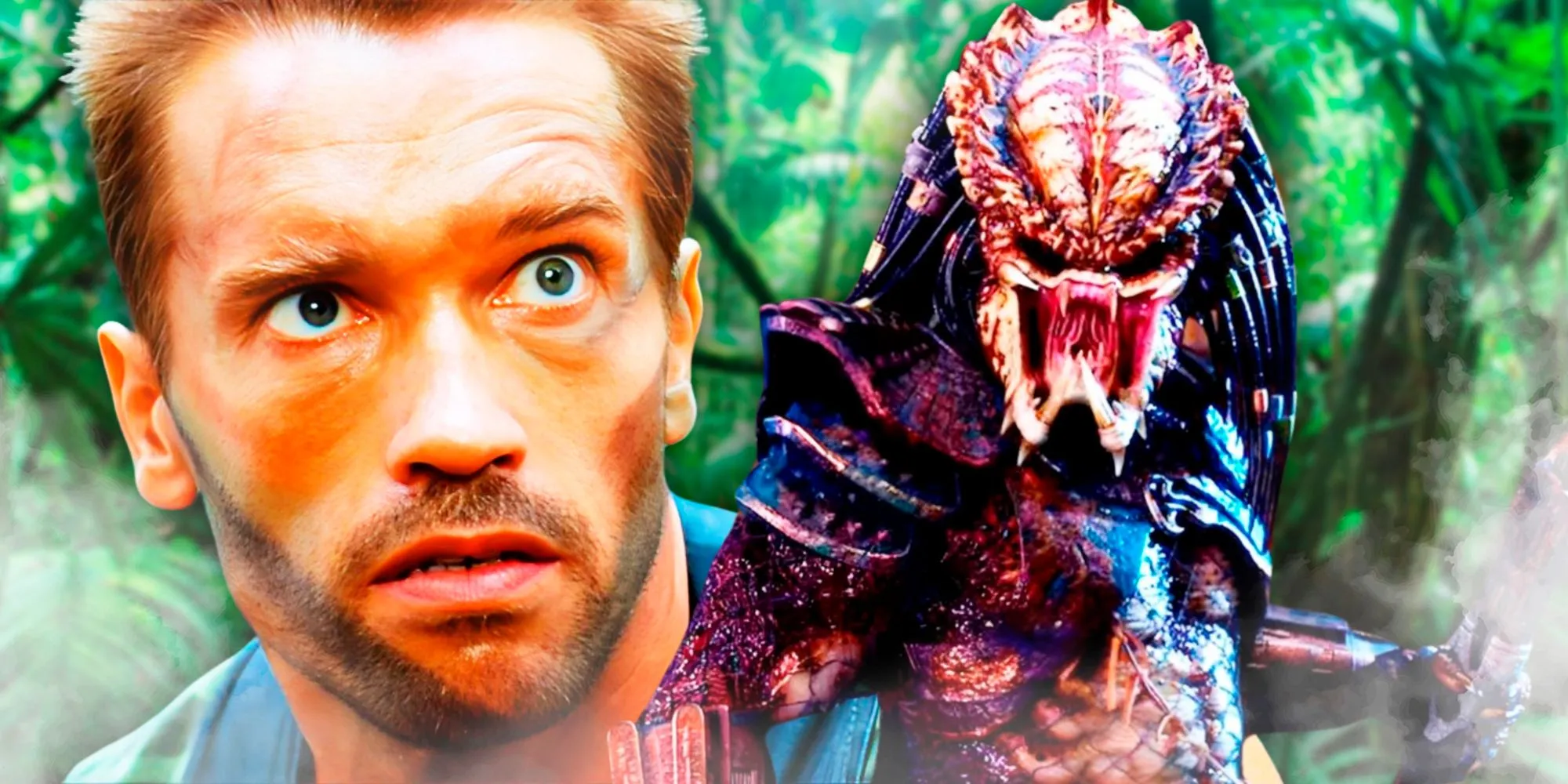 Predator image 4