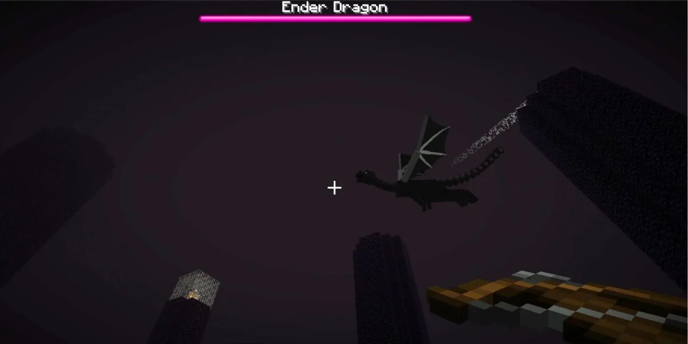 Ender Dragon Flight Ender Dragon Flight