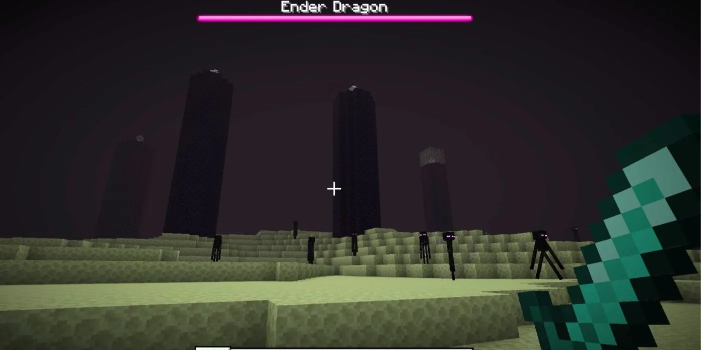 Ender Dragon Arena Ender Dragon Arena