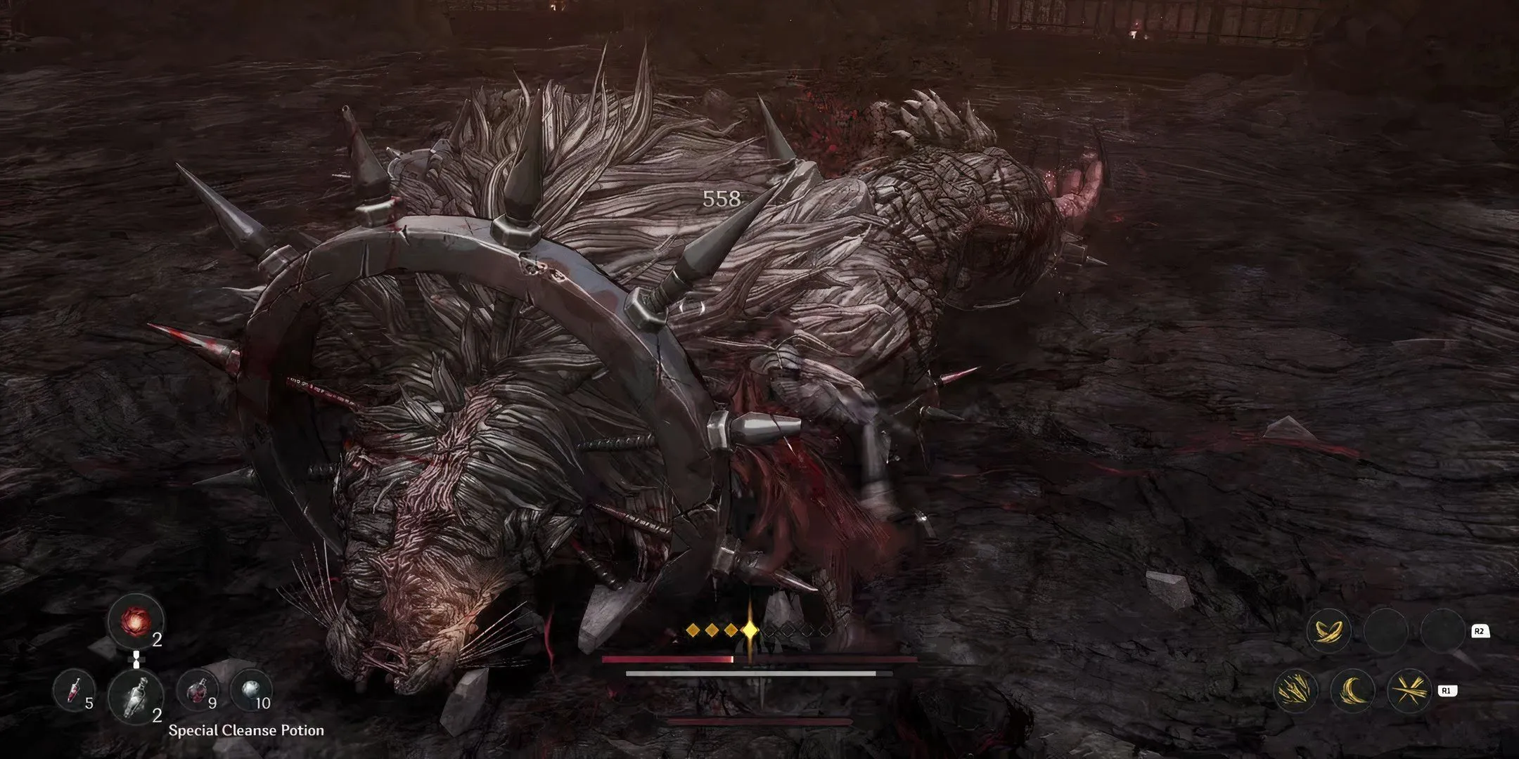 Shactuka on the Ground Shactuka on the Ground