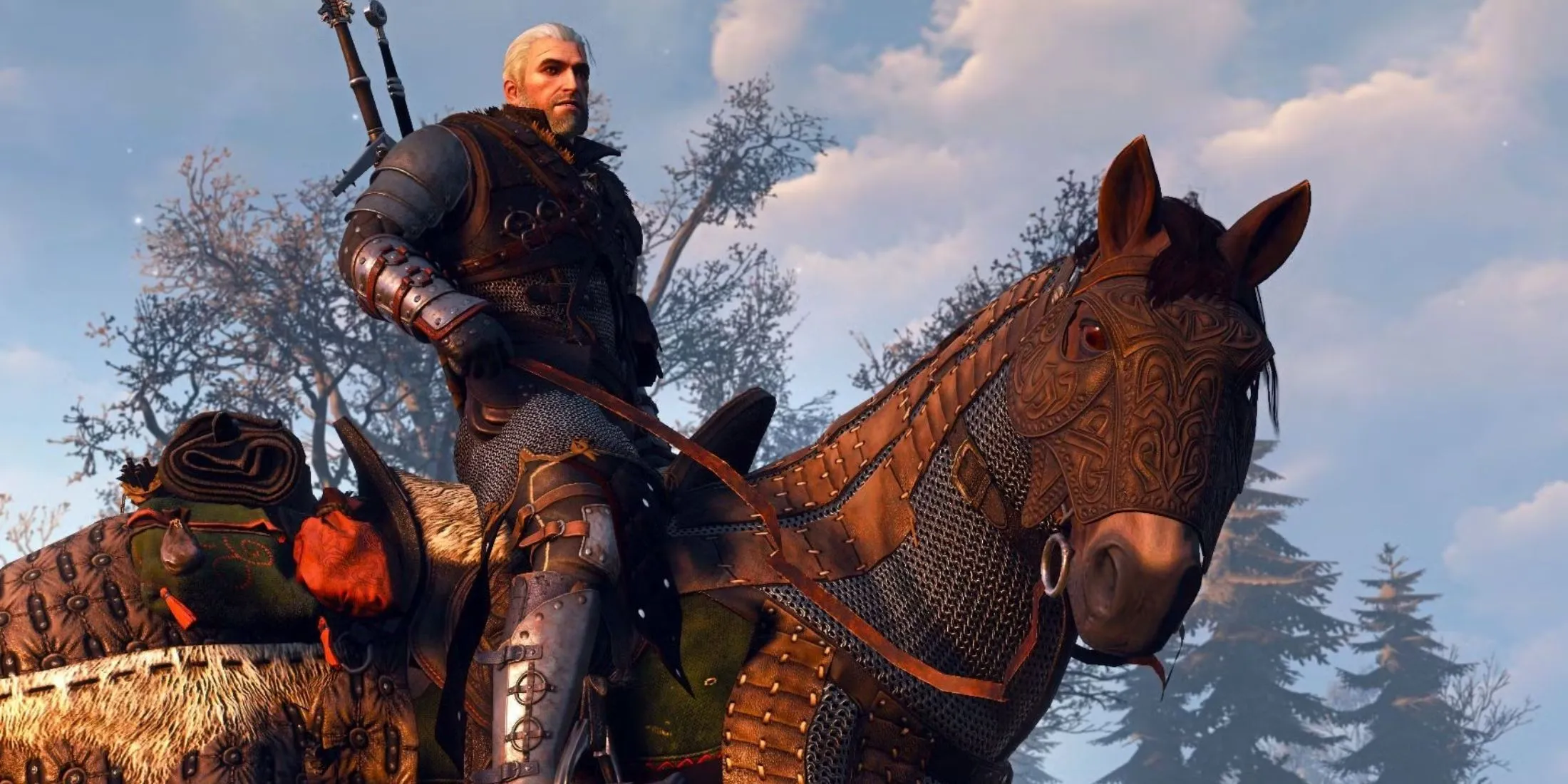 The Witcher 3 The Witcher 3