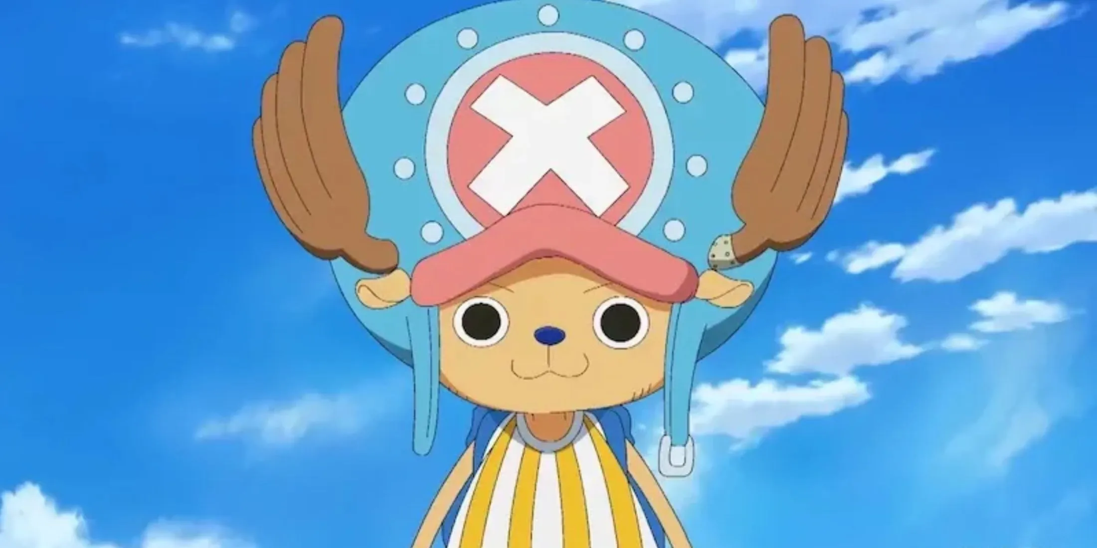 Chopper's New Hat