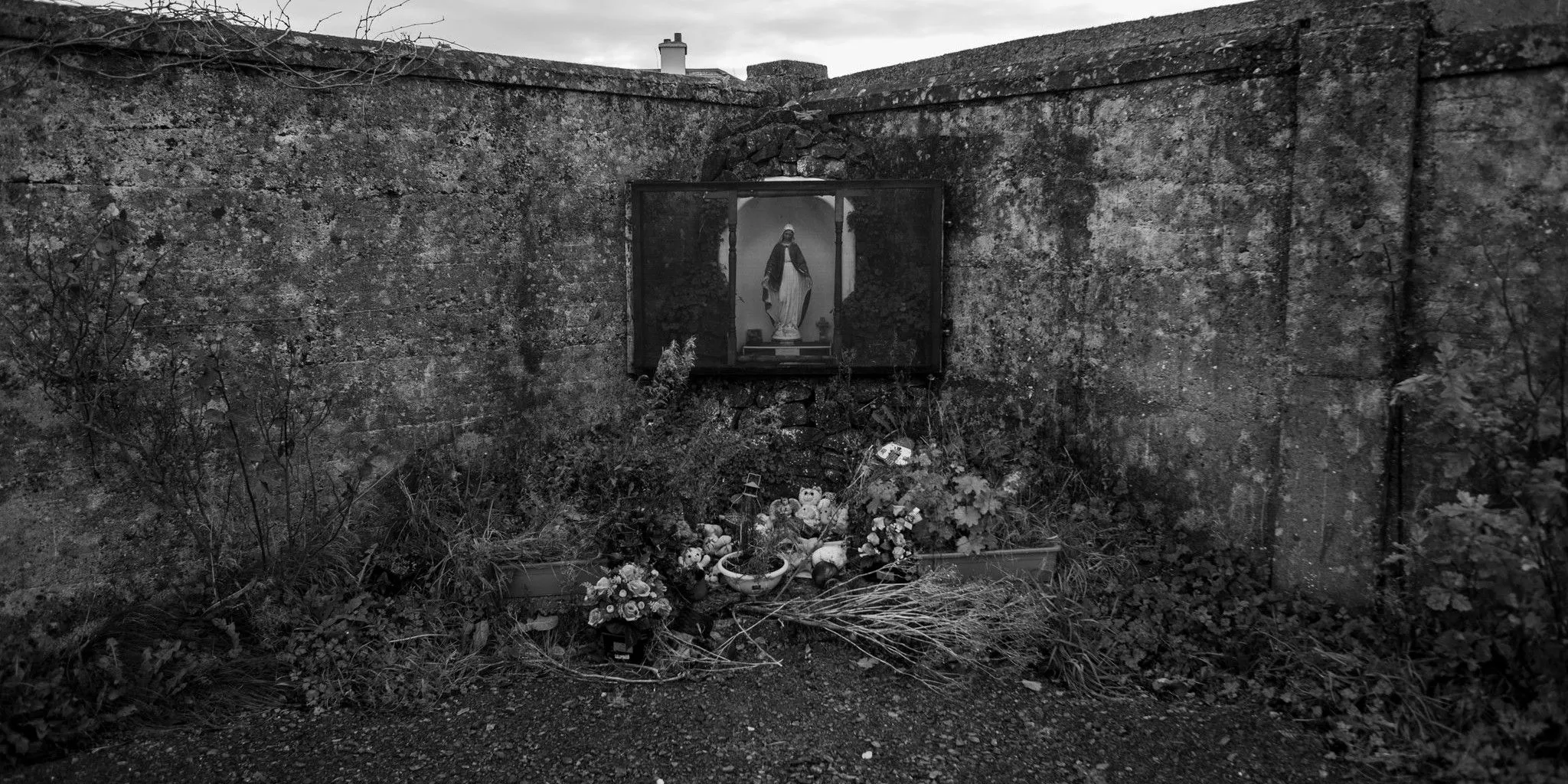 Grave Discovery Grave Discovery
