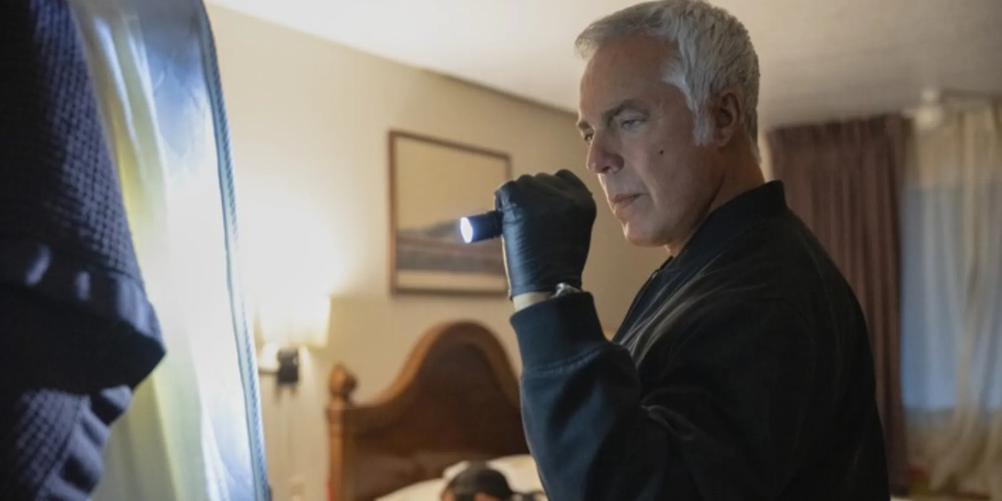 Bosch Legacy Image 2