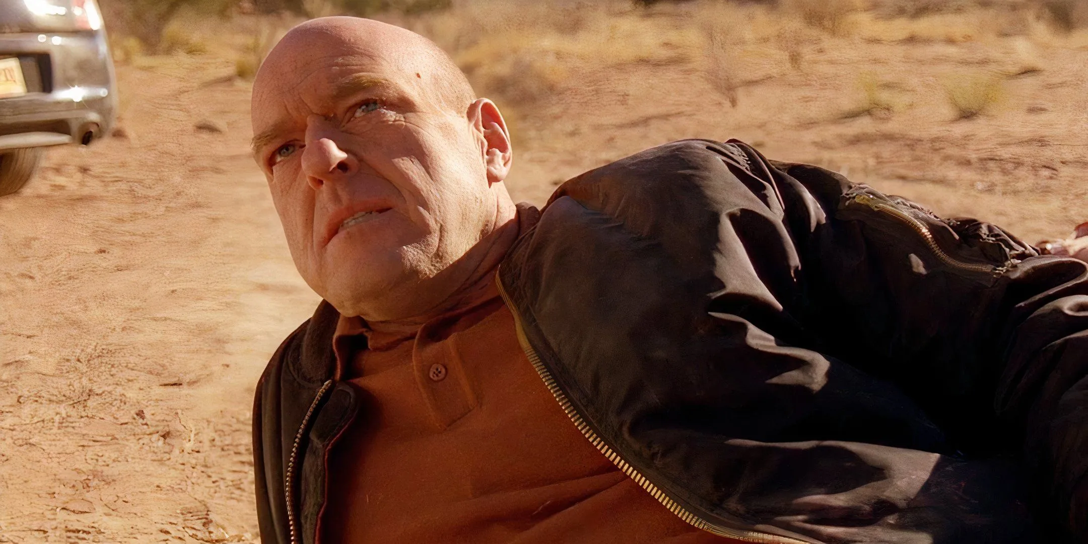 Dean Norris as Hank in Breaking Bad's 'Ozymandias'