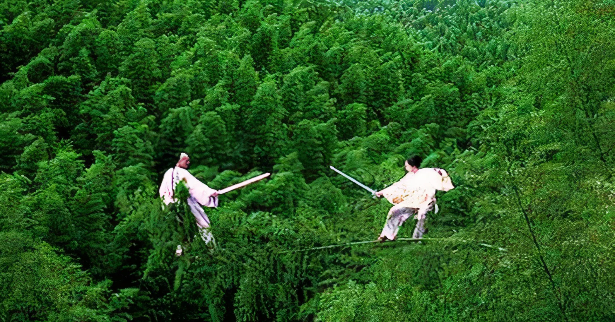 Crouching Tiger, Hidden Dragon