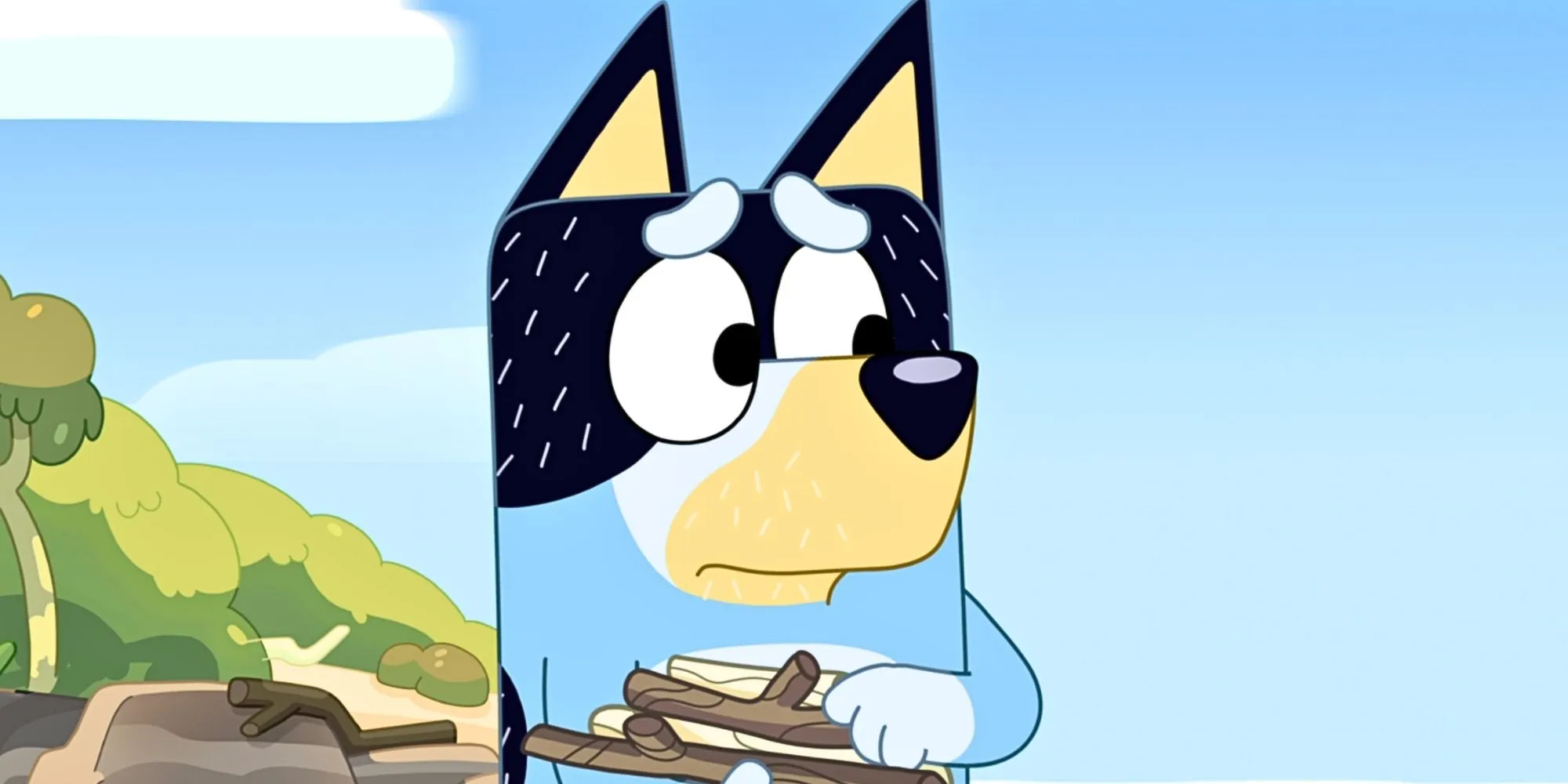 Bandit looking pensive