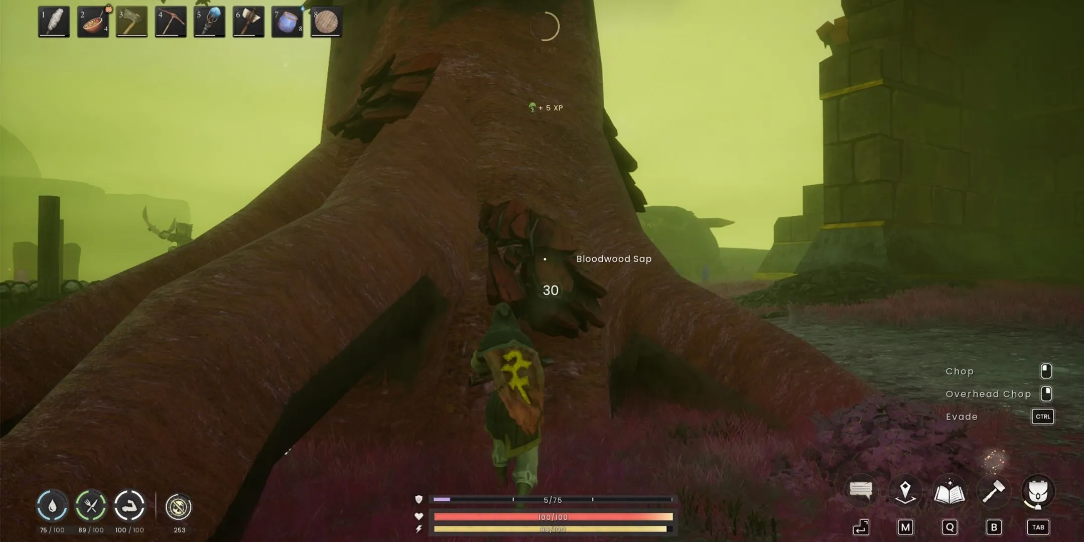 Using Iron Axe on Bloodwood Tree