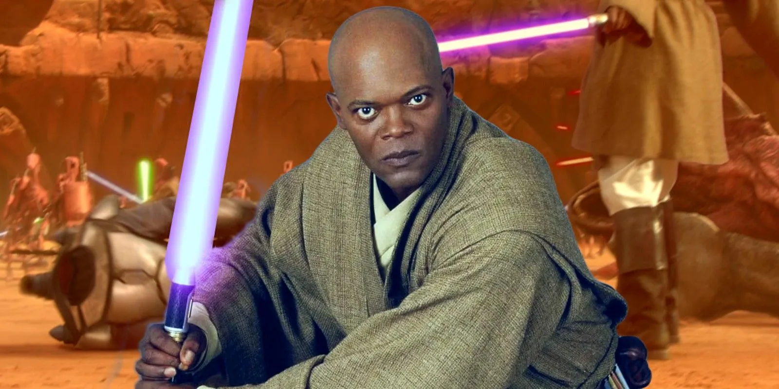 Mace Windu Image 1
