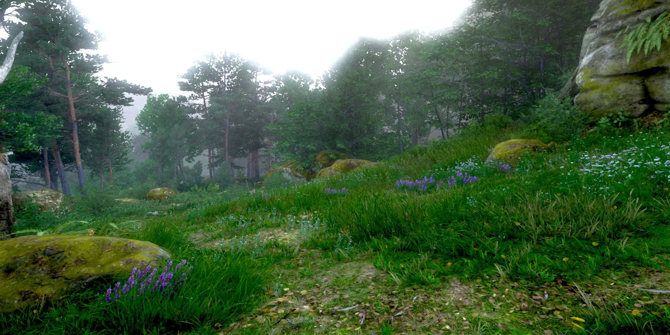 Woodland Garden in Kuttenberg