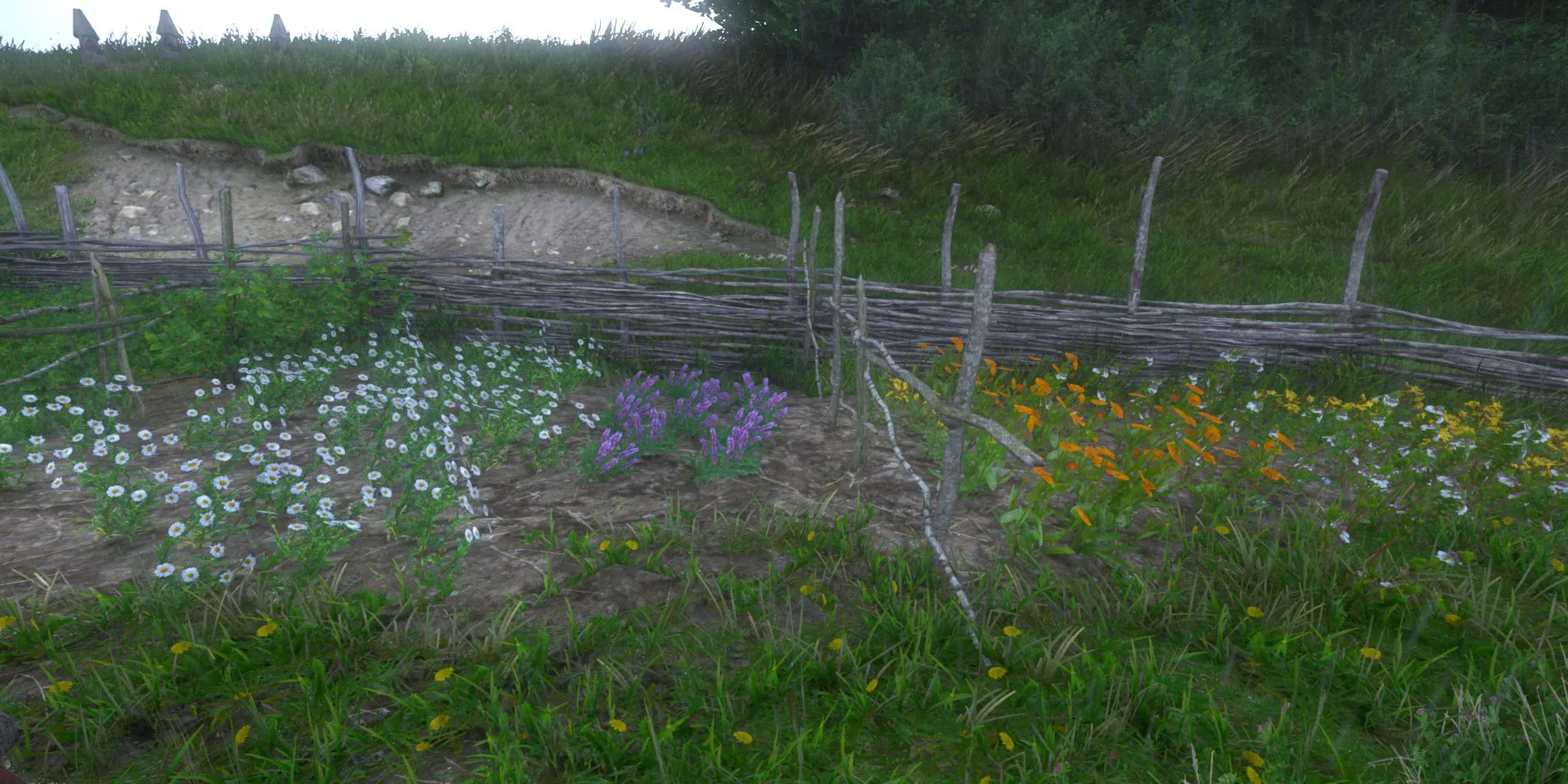 Woodland Garden in Trosky Region