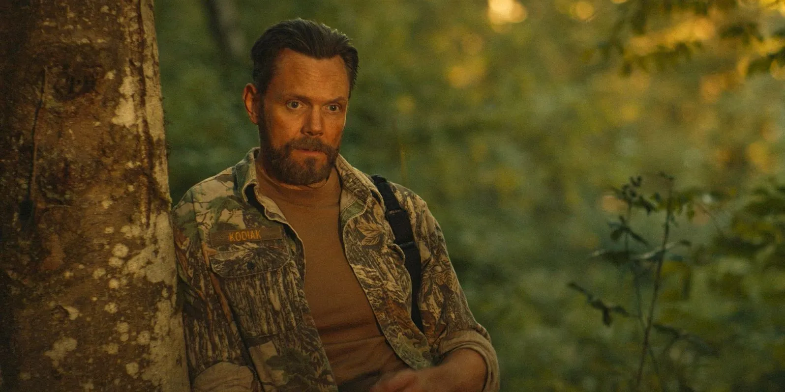 Kodi thinking in the woods