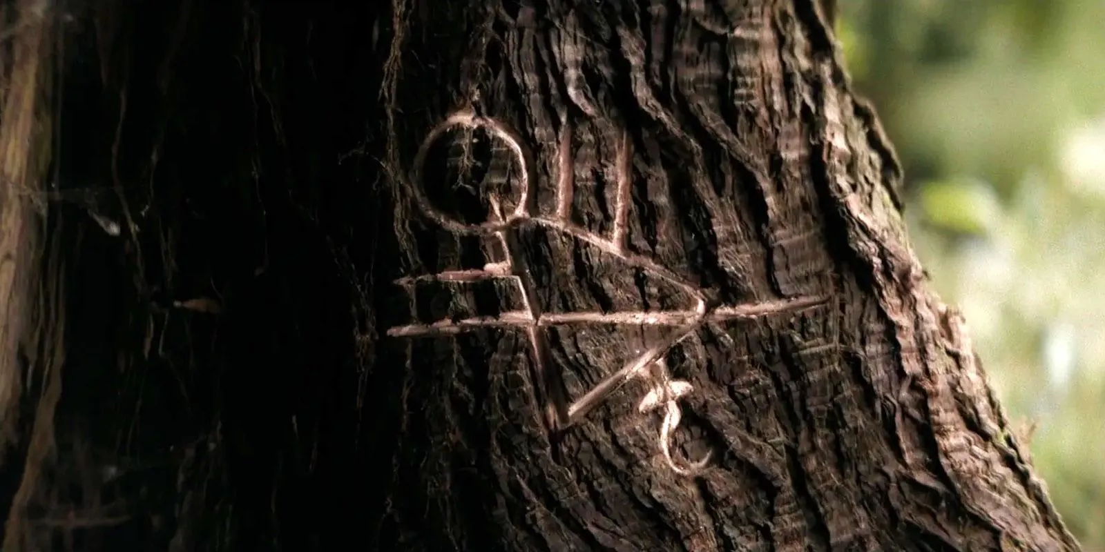 Wilderness Symbol 1 Wilderness Symbol 1