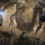 Soulsborne 시리즈의 새로운 플레이어가 Elden Ring Nightreign을 플레이할 수 있나요?