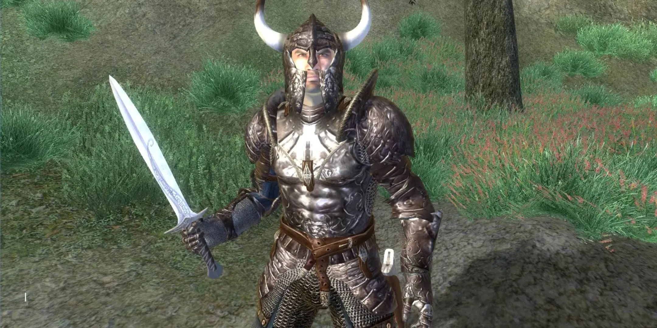 Oblivion Remastered game scene