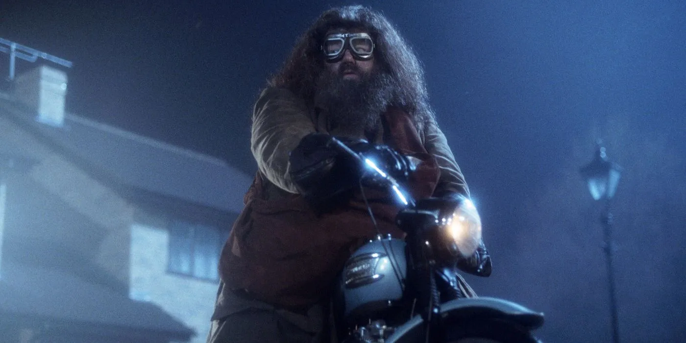 Hagrid in The Sorcerer's Stone Hagrid in The Sorcerer's Stone