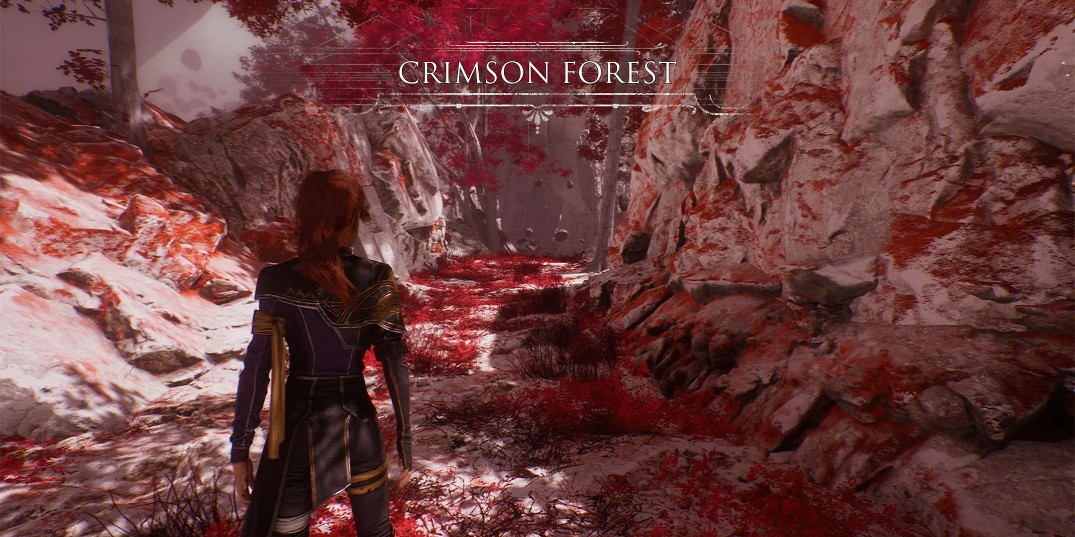 Crimson Forest Overview Crimson Forest Overview