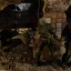 STALKER: Clear Sky의 파벌 이해하기