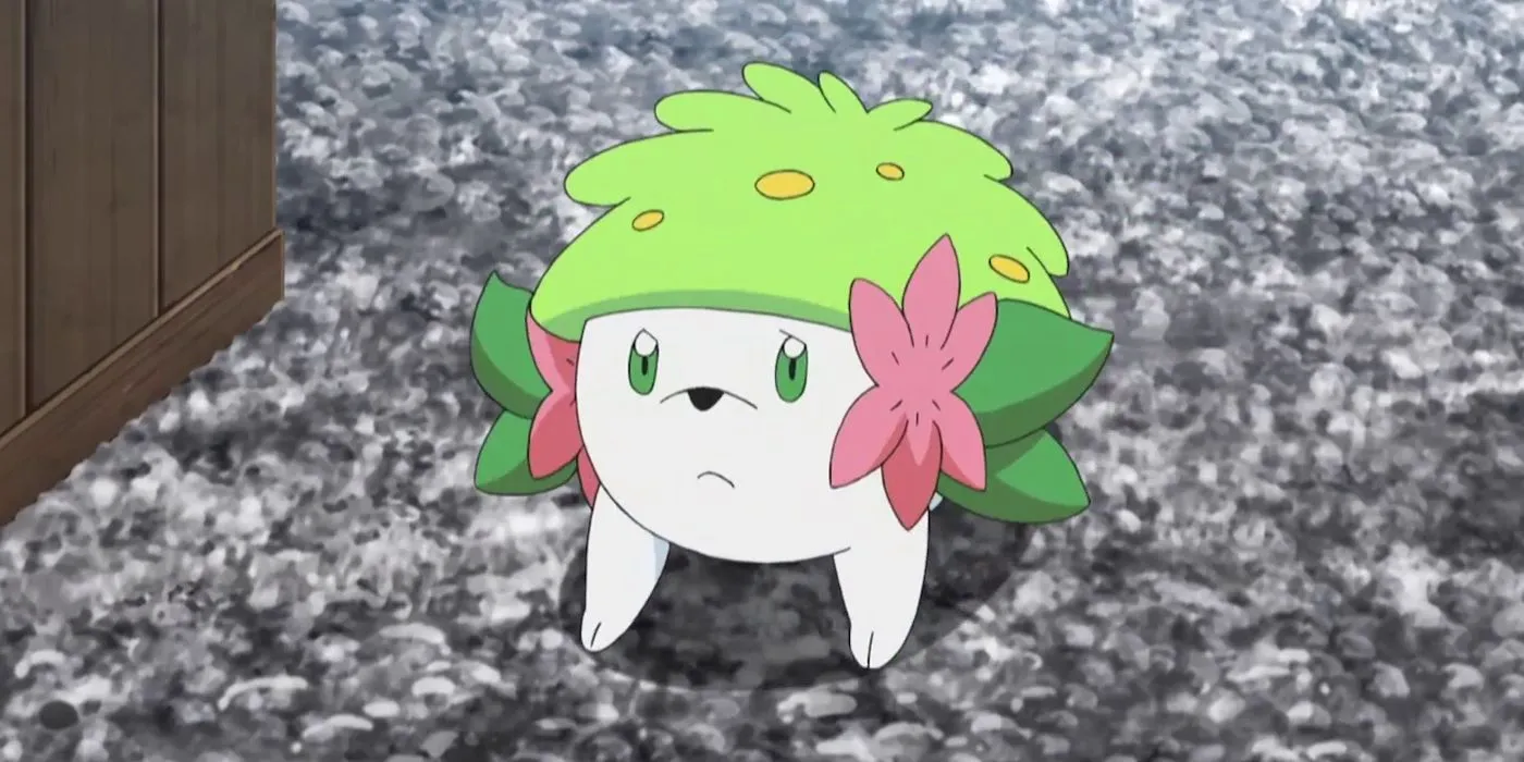Mallow Shaymin